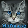   msdragoo